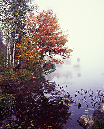 Foggy Morning on a Lake, NH